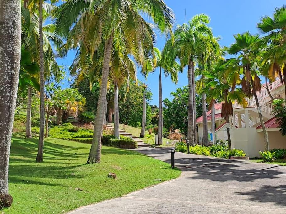 Studio Avec Vue Mer Exceptionnelle, Plage Et Piscine, Village Vacances Sainte-Anne Экстерьер фото