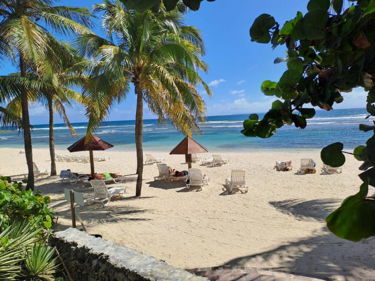 Studio Avec Vue Mer Exceptionnelle, Plage Et Piscine, Village Vacances Sainte-Anne Экстерьер фото
